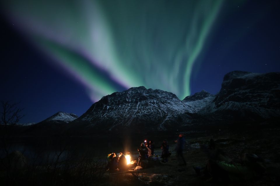 From Tromso: Northern Lights Photography Tour - Photography Tips for Northern Lights