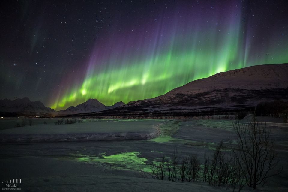 From Tromsø: Northern Lights Tour - Booking and Cancellation Policy