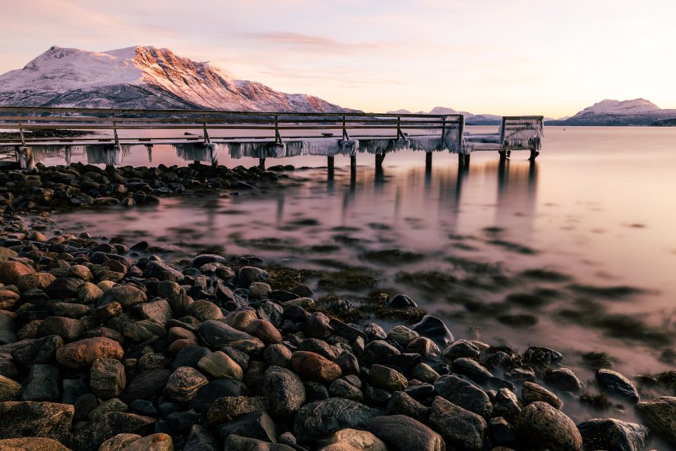 From Tromsø: Senja and Kvaløya Arctic Day Trip With Lunch - Customer Feedback