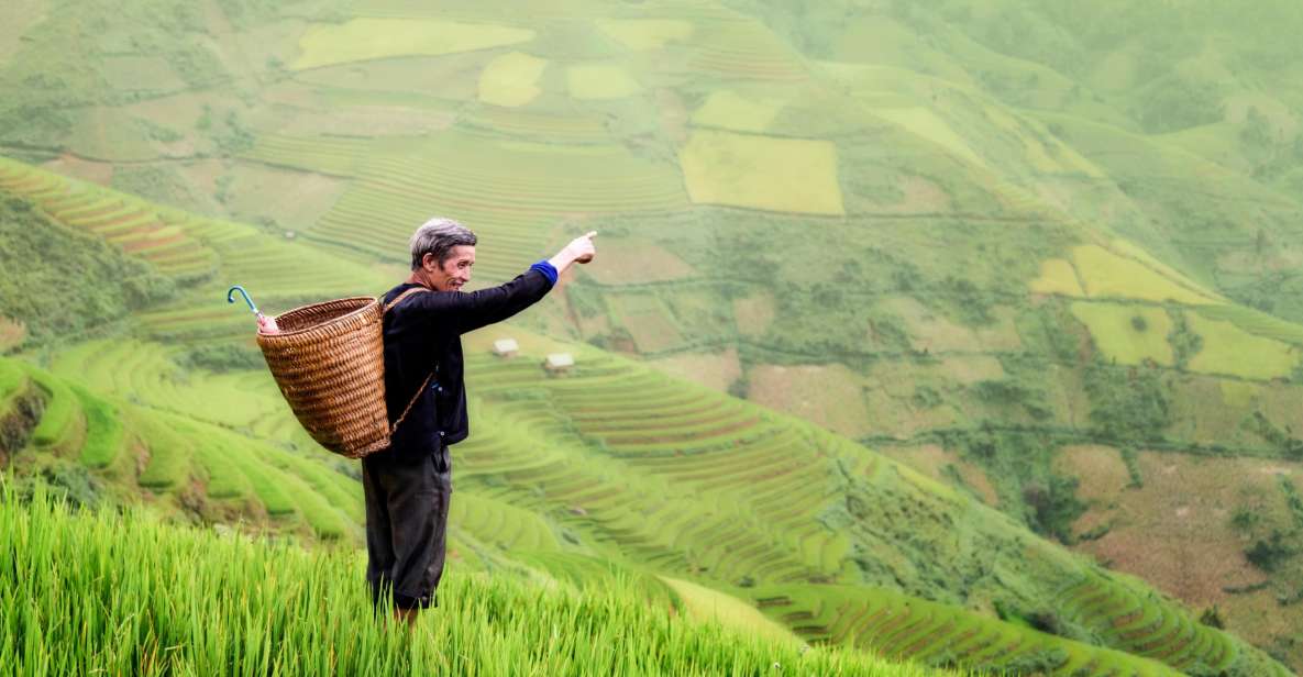 From Ubud: Evening Firefly Tour in Taro Village - Guided Farm Tour