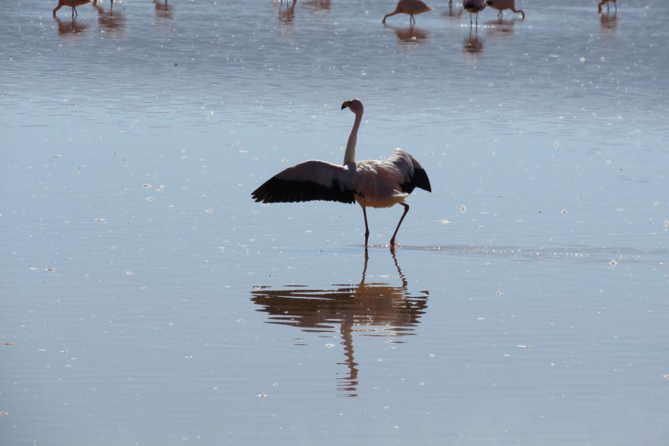 From Uyuni: Private Day Trip Laguna Colorada. - Important Safety Information
