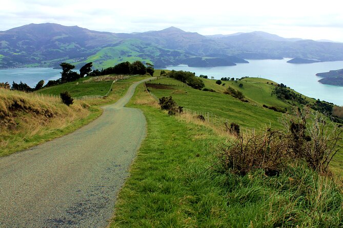 Full-Day Akaroa Tour With Penguins Safari and Wine Tasting - Exploring Akaroa Town