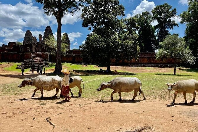 Full-Day Big Tour With Sunset at Phnom Bakheng - Highlights of the Tour