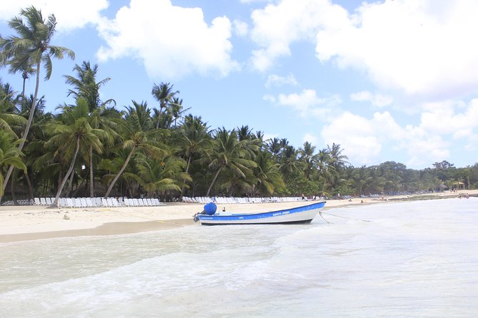 Full-Day Cruise to Saona Island - Natural Pool and Lunch - What to Bring on the Tour