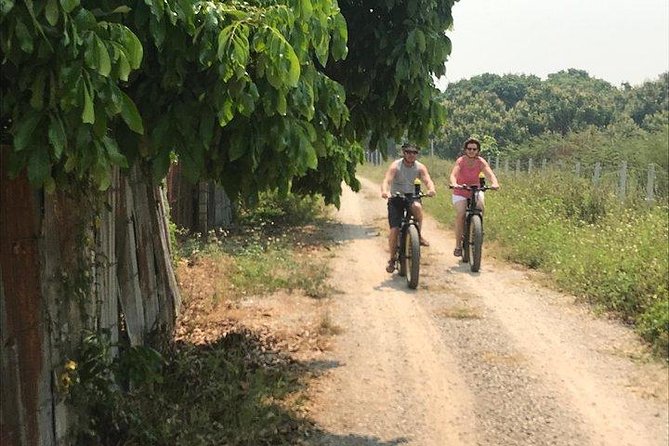 Full-Day E-Bike Adventure Ping River and Nam Phrae (Flat-Hilly, Guided) - Customer Reviews and Ratings