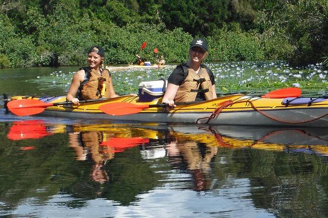 Full-Day Guided Noosa Everglades Kayak Tour - Safety and Accessibility