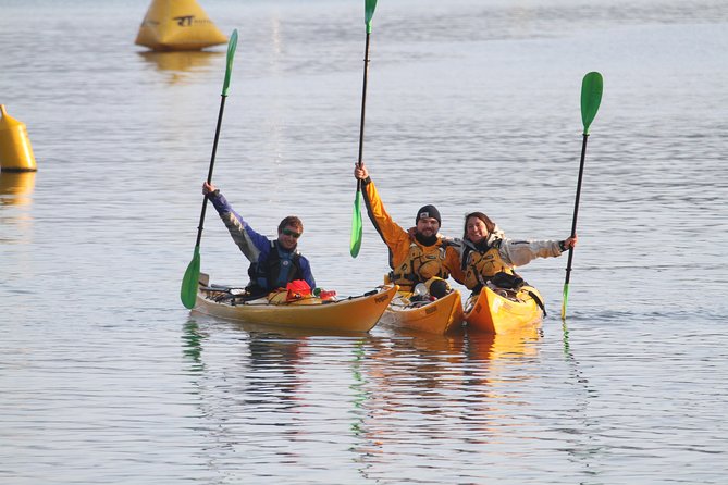 Full Day Guided Sea Kayak Tour From Picton - Pricing and Payment Options