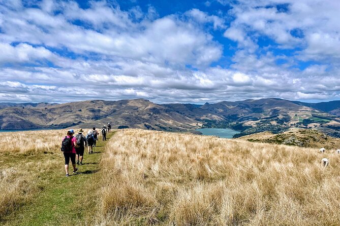 Full Day Guided Walking Tour and Picnic on Banks Peninsula - Booking Information