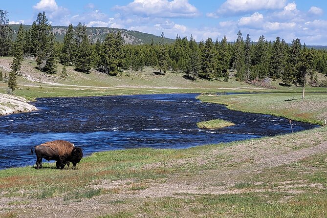 Full-Day Guided Yellowstone Day Tour - Areas for Improvement