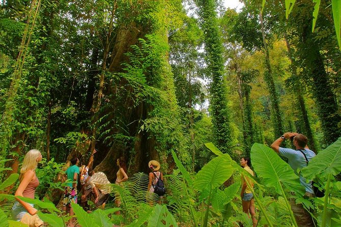 Full-Day Jungle Tour Including Tiger Cave Temple, Crystal Pool and Krabi Hot Springs - Important Considerations