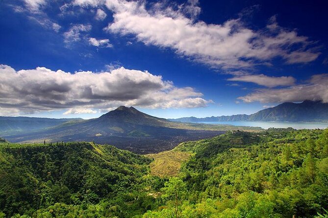 Full Day Kintamani Volcano View and Ubud Village Tour - Inclusions