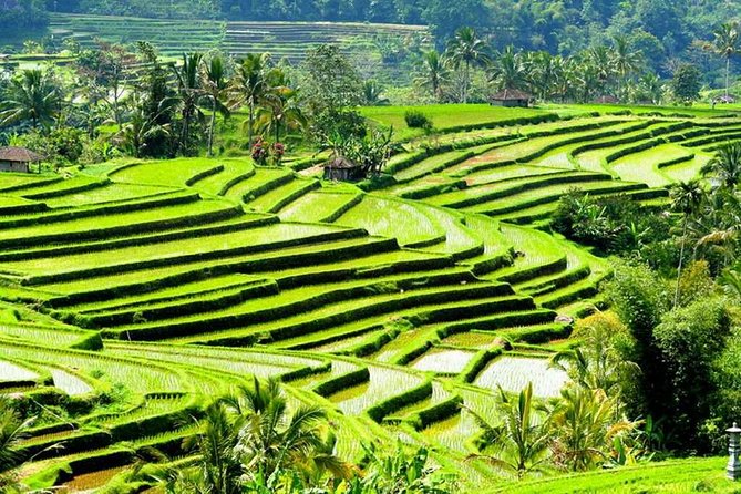 Full-Day Private Cultural Bali Tour + Balinese Driver - Booking Information