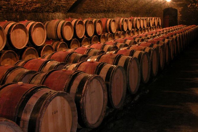 Full Day Private Tour 10 Premiers & Grands Crus, The Best of Burgundy - Tips for Enjoying the Tour