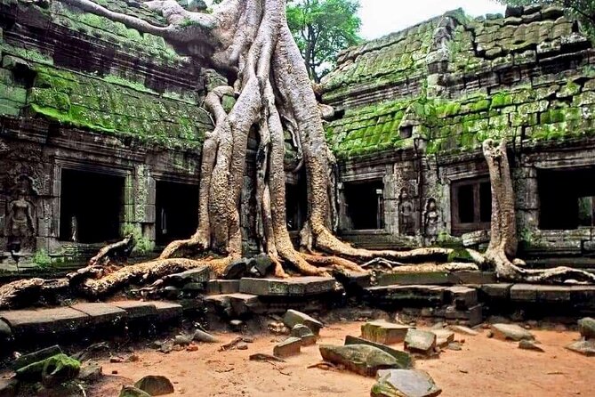 Full-day Private VIP Tour to Angkor Complex - Guest Reviews and Ratings
