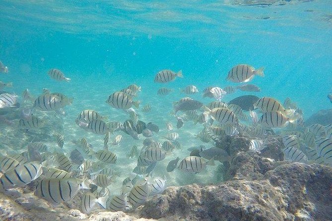 Full-Day Racha Noi and Racha Yai Snorkeling From Phuket - Hotel Pickup and Drop-off