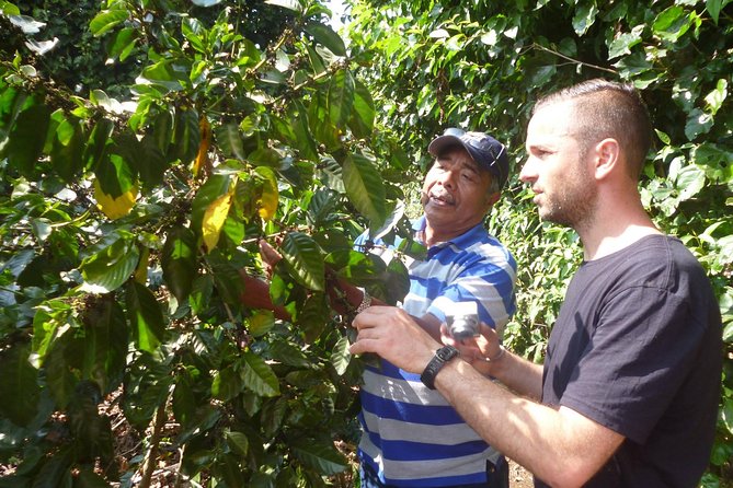Full Day Route of the Flowers Visit Four Colonial Towns and Coffee Farm - Tips for Your Visit