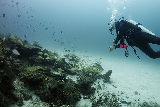 Full-Day Scuba Diving (3Dives) in Phuket - Accessibility Considerations