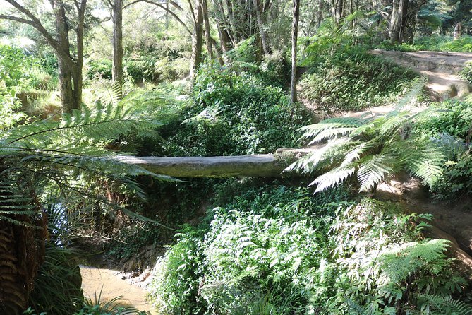 Full-Day Small-Group Glowworm Exploration Tour in New Zealand - Additional Tips for Participants