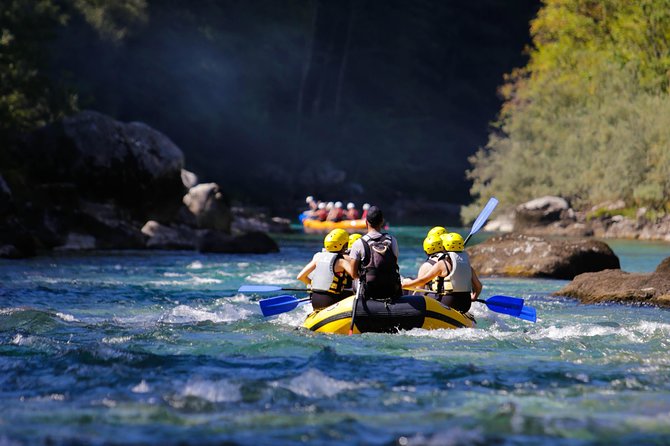 Full-Day Tara River White Water Rafting Tour From Kotor - Customer Reviews and Ratings