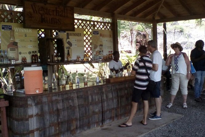 Full-Day Tour: Concord Waterfall, Chocolate Factory, Rum Distillery, Grand Etang - Tour Capacity and Cancellation