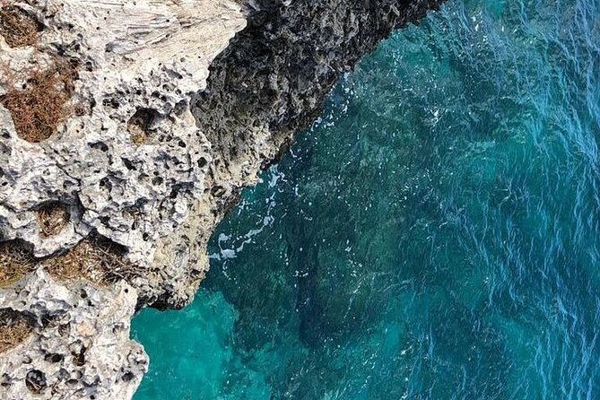Full Day Tour Curacao West Coast Boka Tabla Flamingos and Beaches - Areas for Improvement