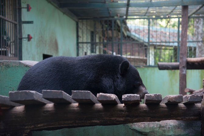 Full Day Trek to Kuang Si Waterfalls, Remote Village - Personalized Small-Group Experience