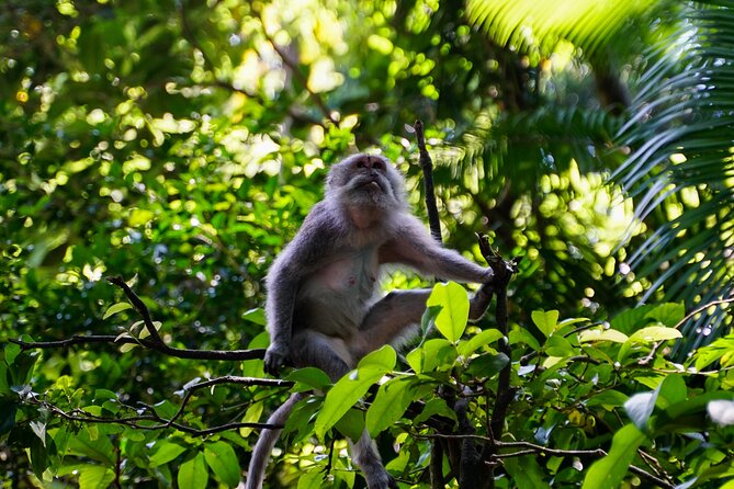 Full Day – Ubud Art Village and Mount Batur Kintamani With Lunch - Dining Experience During the Tour