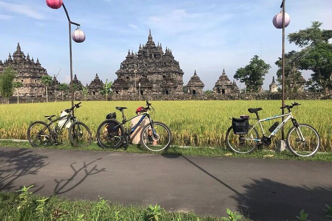 FUN Cycling Tour De Temples - Customer Reviews and Experiences
