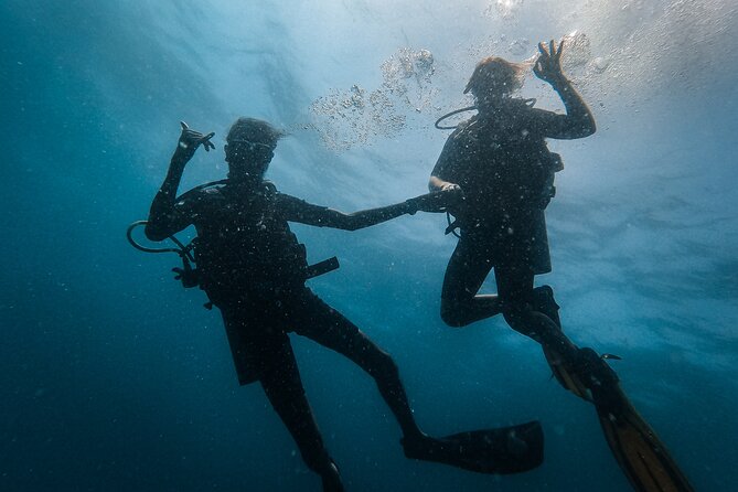Fun Dives For Certified Divers - Tips for an Amazing Dive