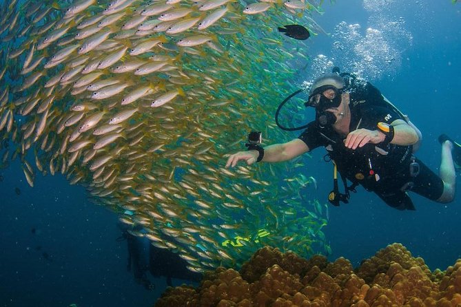 Fun Diving Safari Day Trip From Koh Lanta - Certified Divers - Customer Feedback and Ratings