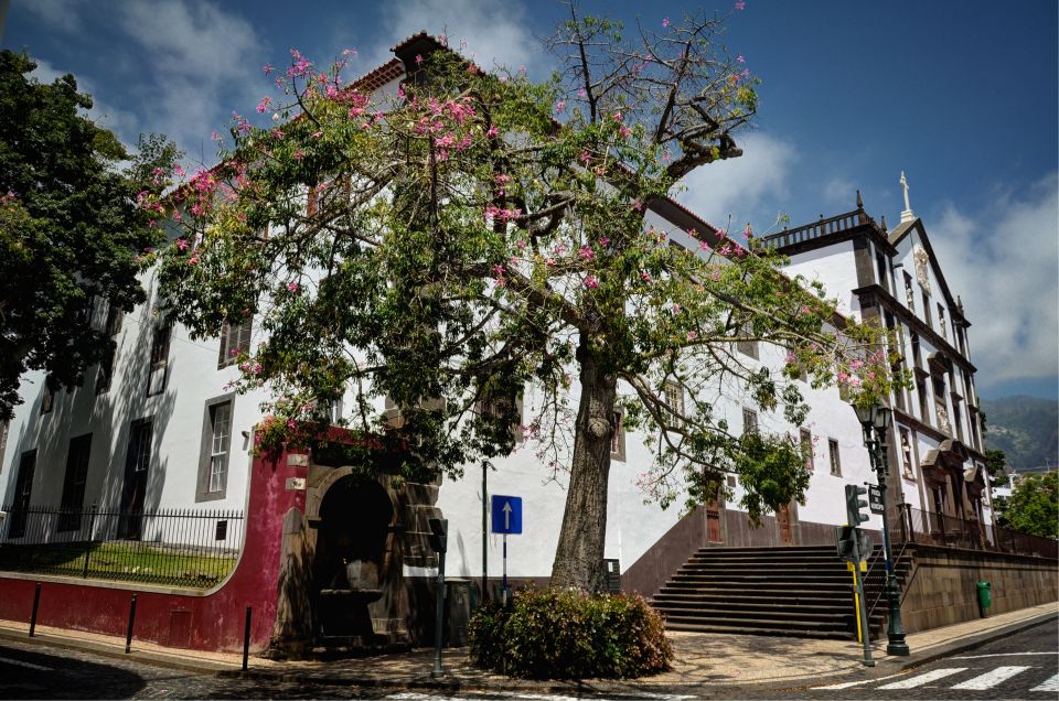 Funchal: City Tour in a Tukxi - Exploring Funchal by Tukxi