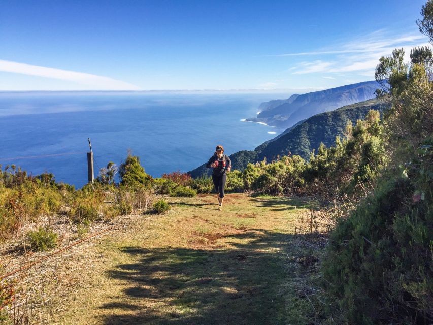 Funchal: Fanal Ancient Forest Running Tour - Guide and Safety Measures