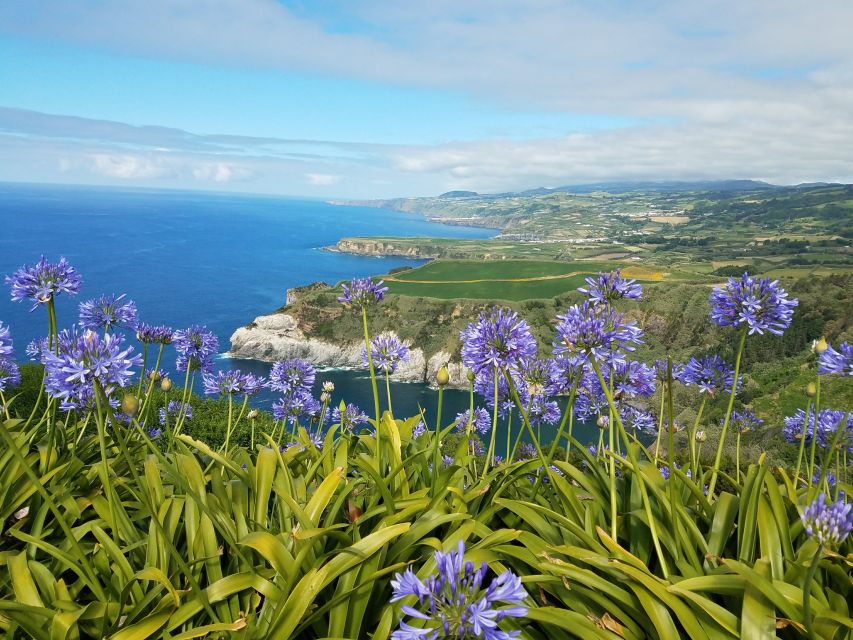 Furnas - Full Day Tour - Inclusions in the Tour