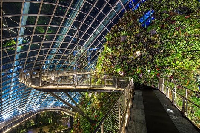 Gardens by the Bay With One Way Transfer (2 Domes) - Booking Details and Confirmation