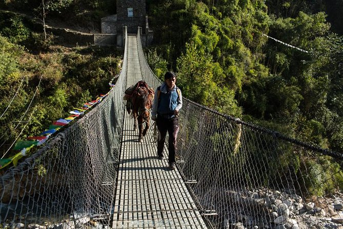 Ghorepani Poonhill Trek 5 Days From Pokhara - Traveler Reviews