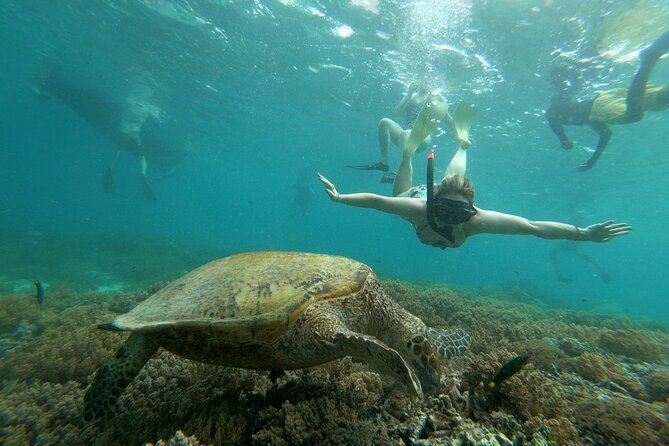 Gili Island Snorkeling Half Day Trip Departure From Gili Trawangan - What to Bring