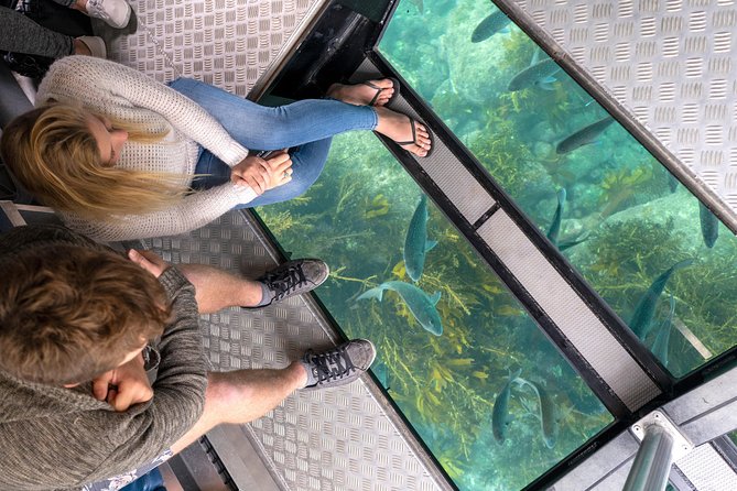 Glass Bottom Boat Whitianga Cathedral Cove Cruise - Tips for an Enjoyable Adventure