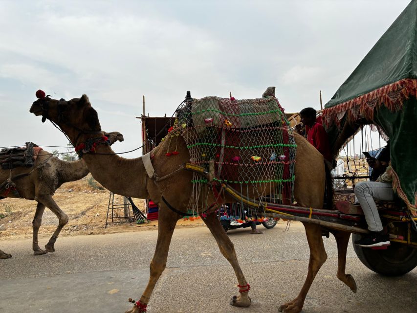 Golden Triangle Tour Pushkar & Jodhpur By Car 7 Nights 8 Day - Important Travel Information