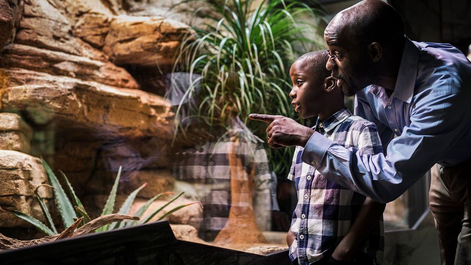 Gothenburg: Universeum Entry Ticket - Practical Visitor Information