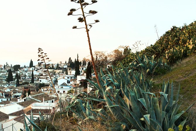 Granada: Albaicin and Sacromonte Private Tour - Glimpse of Granada and Alhambra