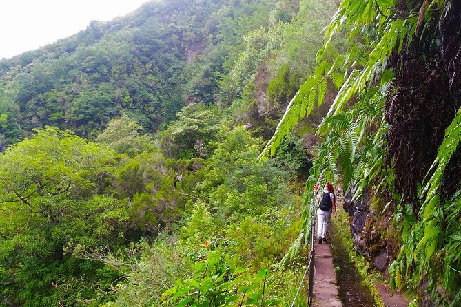 Green Cauldron Levada Walk From Funchal - Tips for a Great Experience