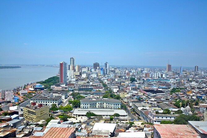 Guayaquil PRIVATE Arrival Transfer From the Airport to Hotels - Accessibility Features