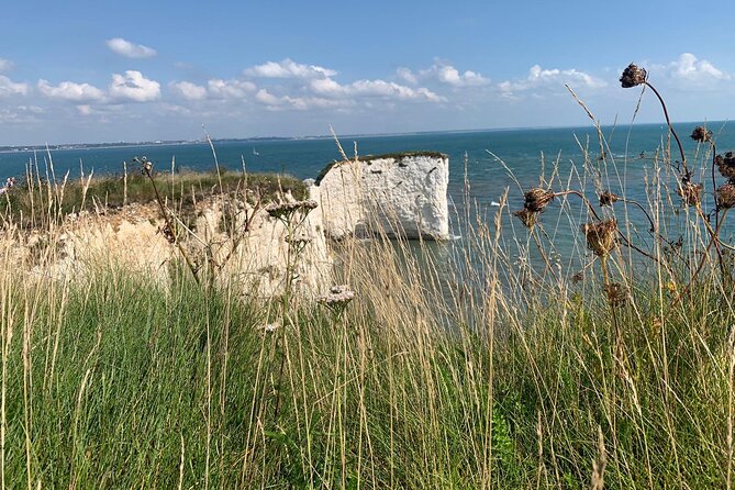 Guided E-Bike Day Trips Dorset - Tips for a Great Experience