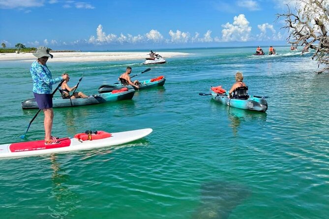 Guided Island Eco Tour - CLEAR or Standard Kayak or Board - Preparing for Your Tour