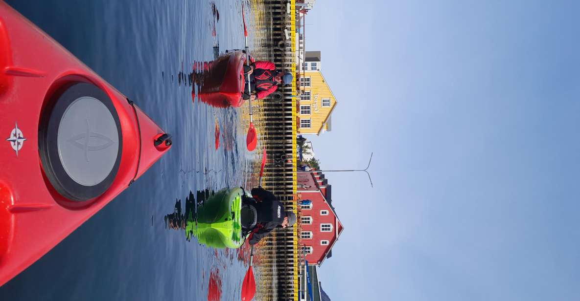 Guided Kayak Tour in Siglufjörður / Siglufjordur. - Frequently Asked Questions