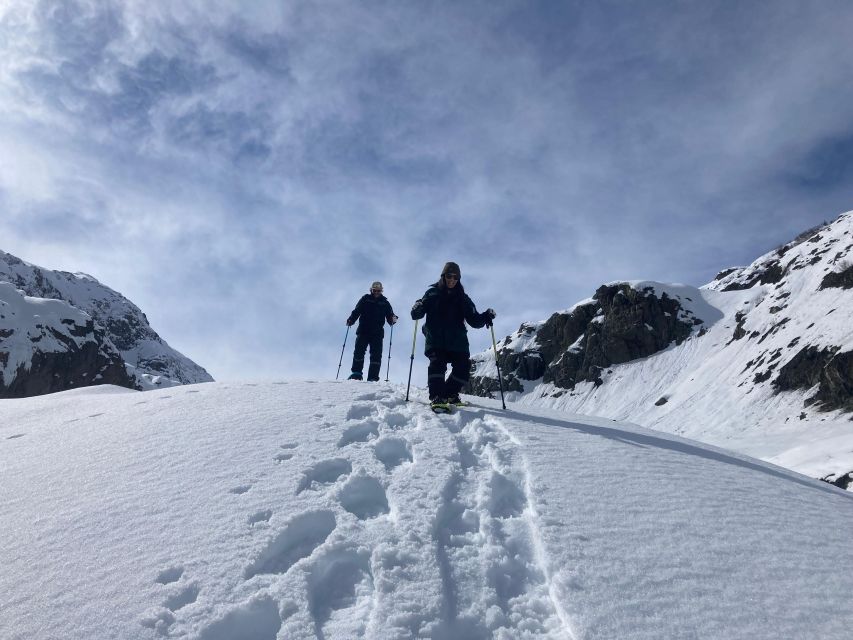 Guided Snowshoeing Adventure From Seward, Alaska - Experienced Local Guides