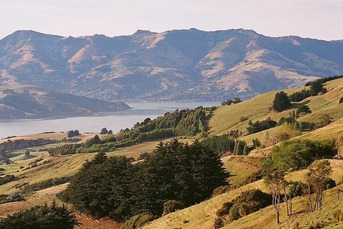 Guided Walk & Scenic Drive From Christchurch- Port Hills & Packhorse Hut - Scenic Attractions Along the Route