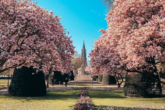 Guided Walking Tour in Strasbourg Between History and Curiosities - Booking Information and Policies