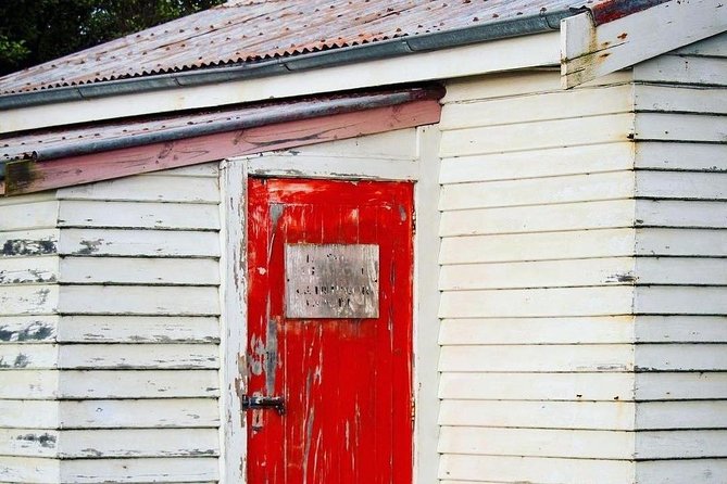 Guided Walking Tour & Scenic Drive Form Christchurch - Lyttelton & Godley Head - Booking Information