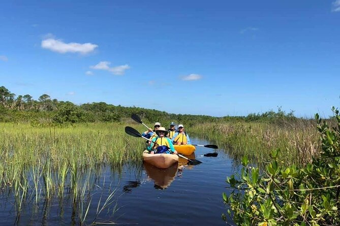 Guided Wildlife Eco Kayak Tour in New Smyrna Beach - Wildlife Sightings and Highlights